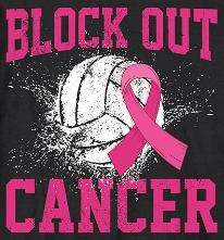Southern Volleyball Breast Cancer DIG 2023