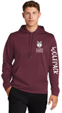 St. Joseph- Stacked with Sleeve - Performance Hoodie Sweatshirt (Maroon, White, Silver or Black) (YOUTH AND ADULT)