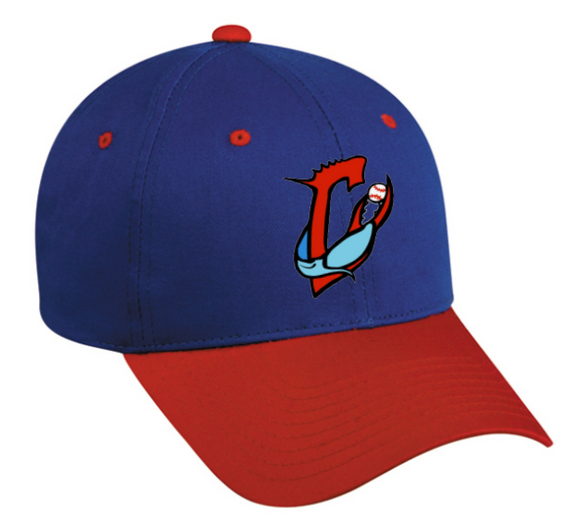Chesapeake Girls Baseball - TEAM PLAYER Hat (Youth or Adult)