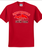 CST - Official 2023 Gradient Short Sleeve T Shirt (Black, Red or White)  (Cotton blend or Performance)