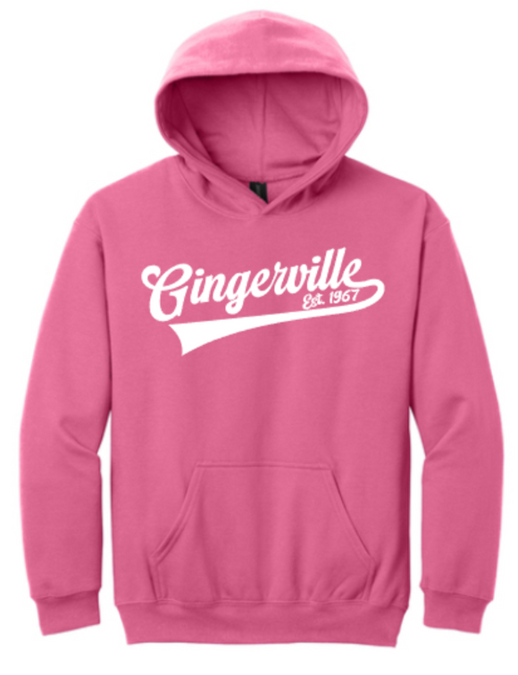 Gingerville - Youth Hoodie (Pink Lemonade, Royal Blue, Sporty Grey)