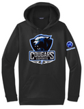 CHS ESports - Performance Hoodie Sweatshirt (Black or Silver)