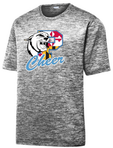 Panthers Cheer - Cheer Flag Electric Heather Performance SS T Shirt