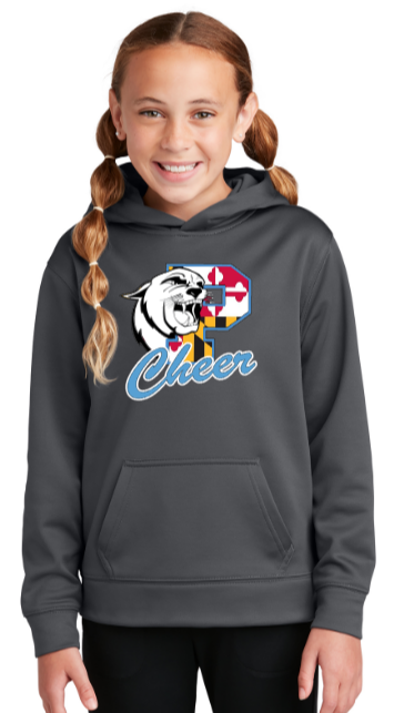 Panthers Cheer - Cheer Flag Performance Hoodie Sweatshirt