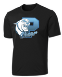 Panthers Cheer - Panthers Cheer Performance Short Sleeve (Black or Grey)