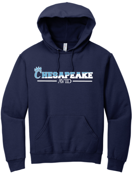 Cash and maverick hoodie online