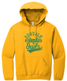 Dundalk Cheer - DHS Hoodie Sweatshirt (Grey, White or Gold)