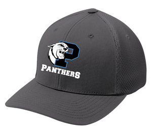 Panthers - Hat - Black or Grey Mesh Fitted