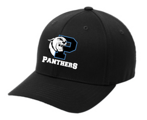 Panthers - Hat - Black Fitted