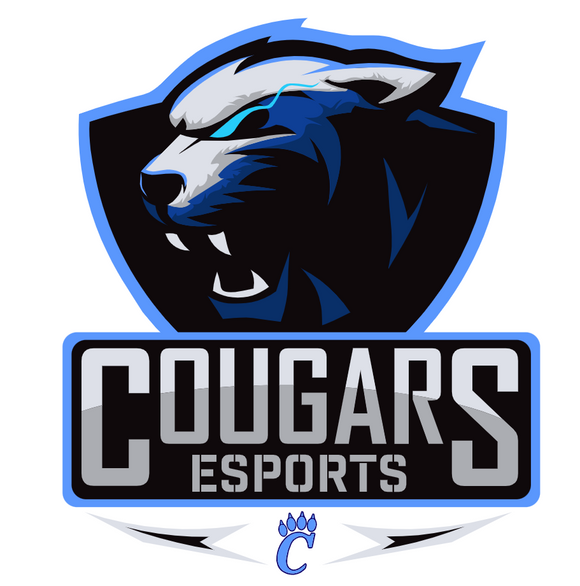 CHS ESPORTS Jersey