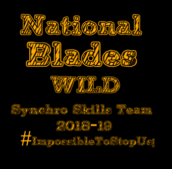 National Blades Synchro Skills Team Shirts