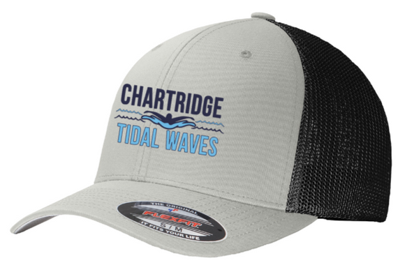 Chartridge Swim - Flex Fit Hat
